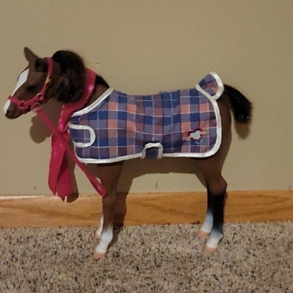 Our Generation Foal